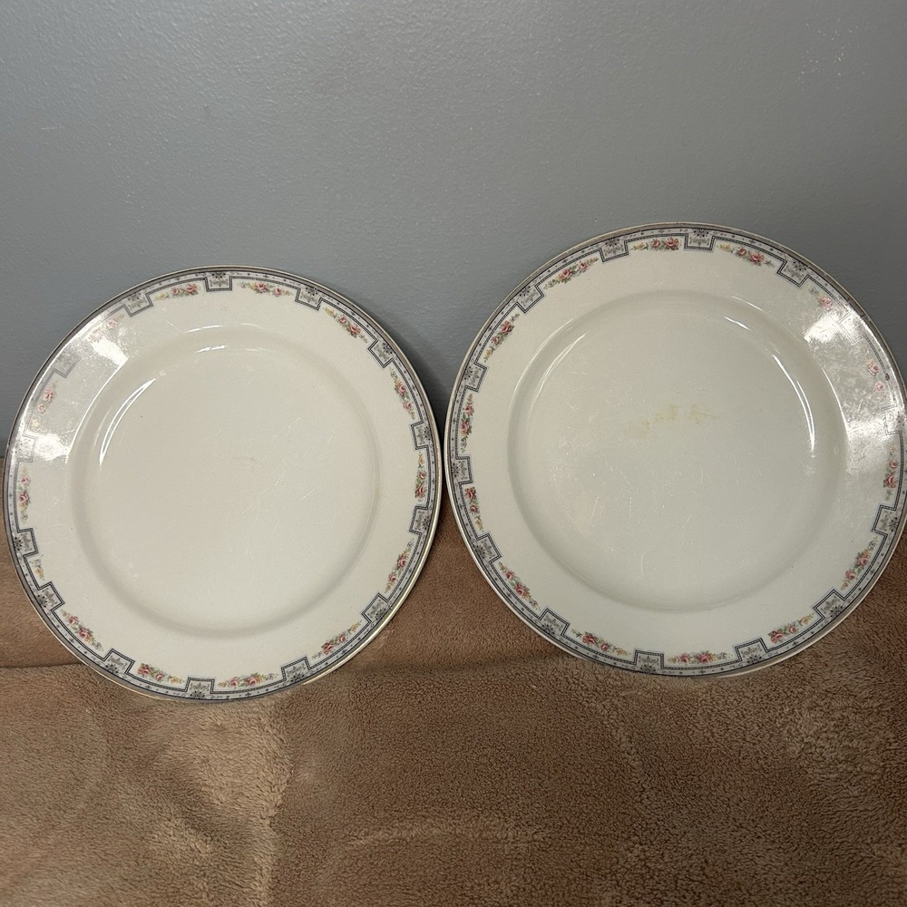 GRINDLEY Preston 10" Dinner Plates PINK ROSES FLOWER PANEL‎ Set Of Two Vintage